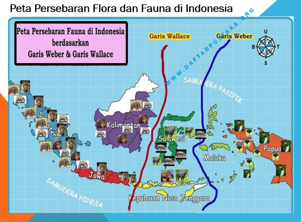 Faktor faktor yang menyebabkan flora dan fauna tumbuh tidak merata di bumi indonesia adalah